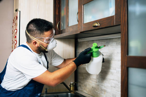 Best Pest Prevention Services  in Northville, NY