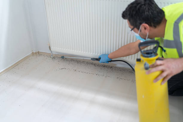 Best Best Pest Control Companies  in Northville, NY